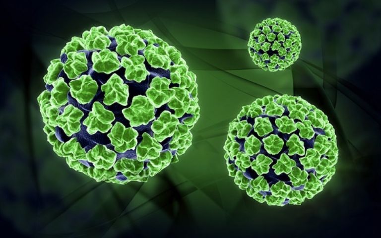 Virus HPV là nguyên nhân chính gây ra sùi mào gà